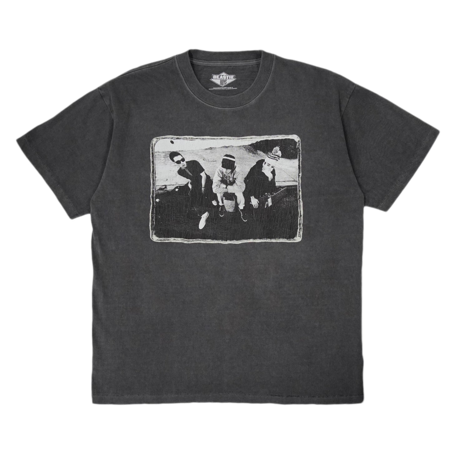 INSONNIA PROJECTS / BEASTIE BOYS CHECK YOUR HEAD PHOTO T-SHIRT