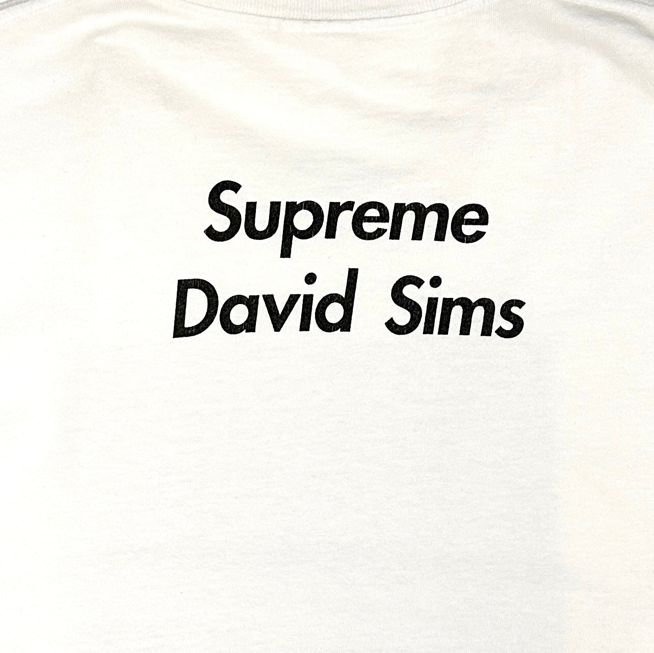 CONCEPT SHOP WTS -ARCHIVES & SNEAKERS- / SUPREME × DAVID SIMS